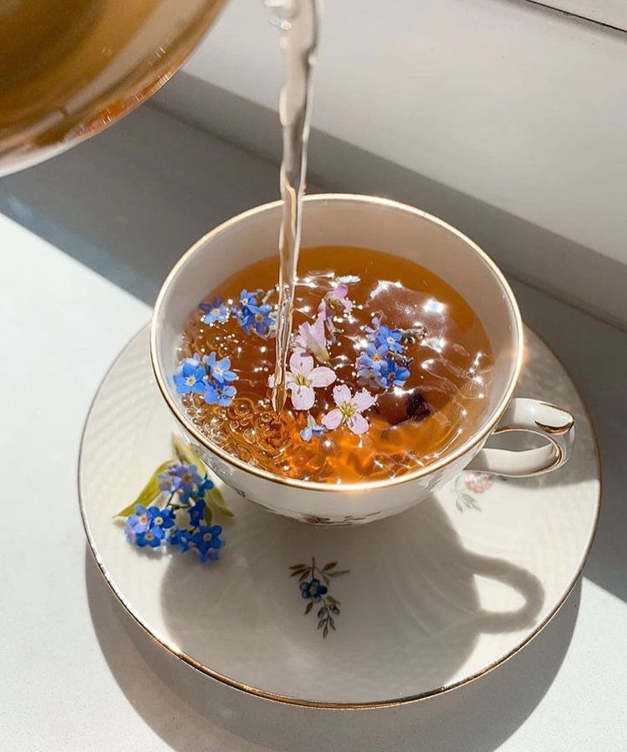 germinal-beerschot | Have Tea at the Grampians Chalet: Enjoy a relaxing tea at the Grampians Chalet