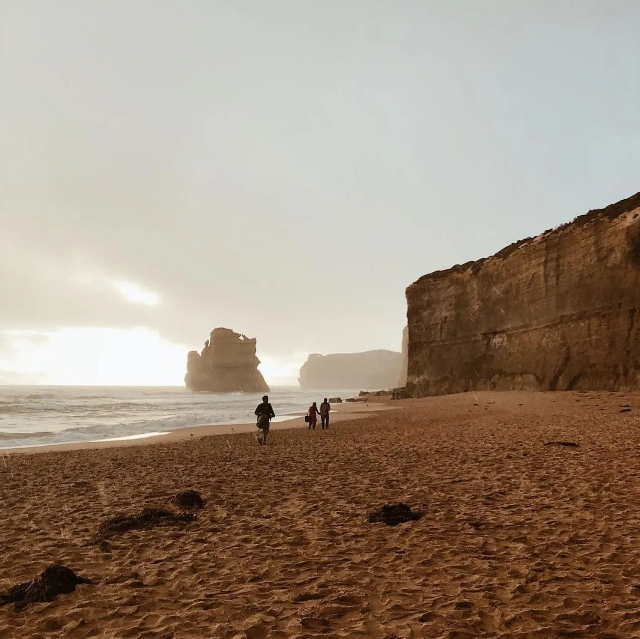 germinal-beerschot | Best Stops on the Great Ocean Road