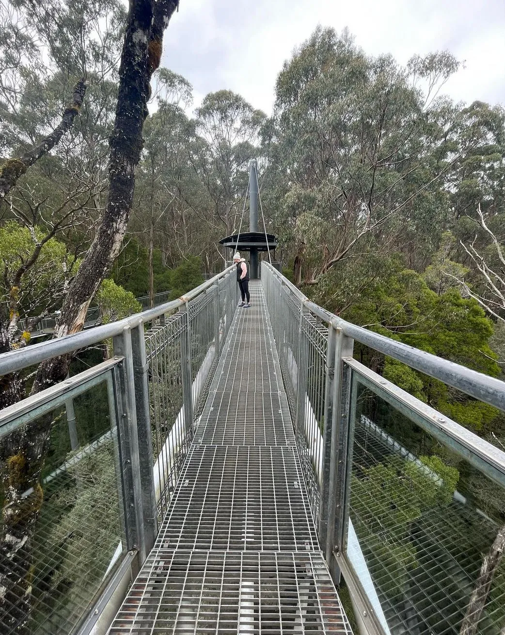germinal-beerschot | Best Stops on the Great Ocean Road